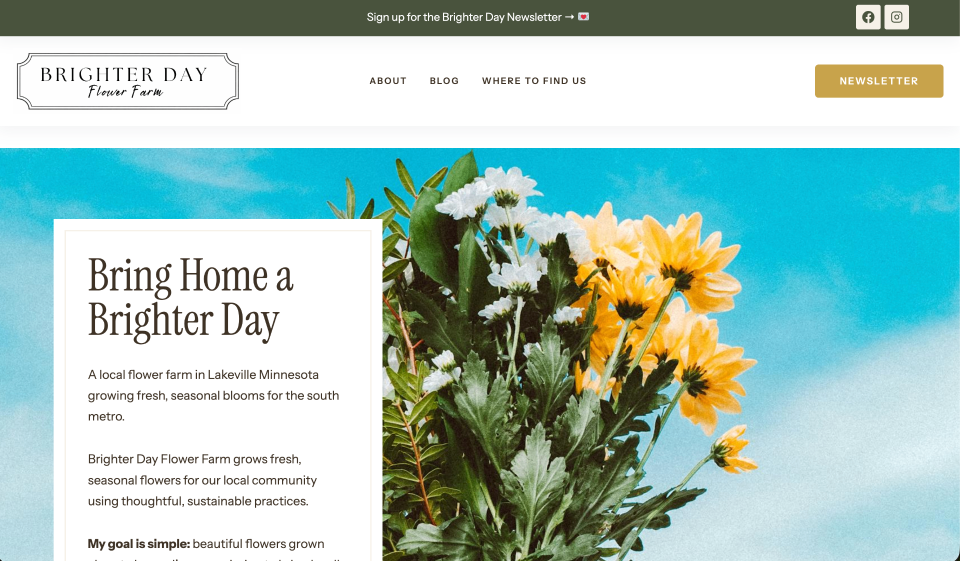 Brighter Day Farms preview